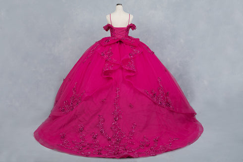 Butterfly Quinceañera Princess Ball Gown for Women, Sizes 4/XS-16/3X
